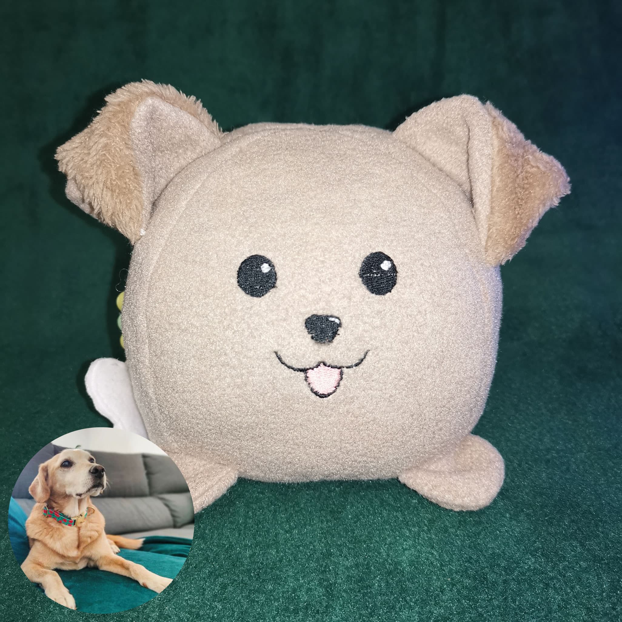 About us - Pet Plushies